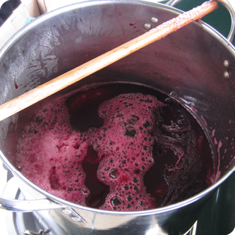 Intro to Working with Plant Based Natural Dyes